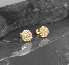 Broqueles Eclipse en internet