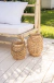 Fanal Hyacinth - comprar online