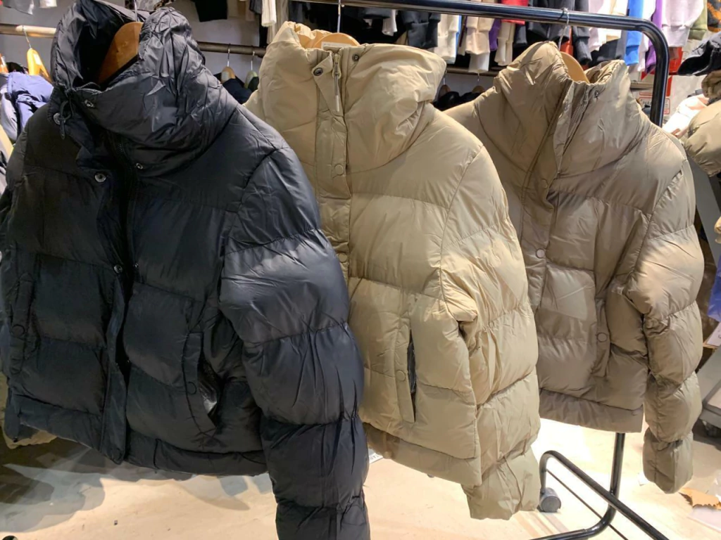 Campera sara