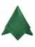 GUARDANAPO SELECT VERDE BANDEIRA COM BORDADO VERDE