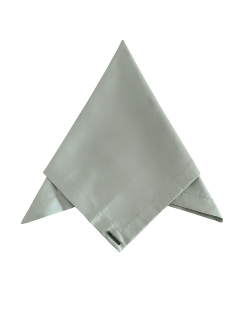 GUARDANAPO BASIC VERDE CLARO