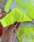Conjunto cropped guipir luxo verde neon - Império moda íntima