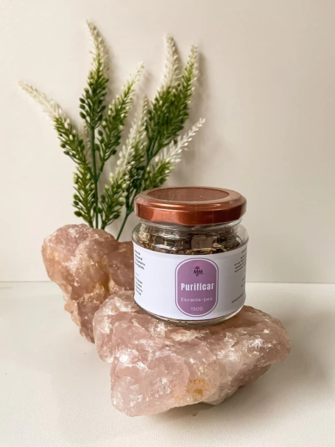 Escalda-Pés Purificar é o ritual perfeito para momentos em que você sente necessidade de renovar suas energias e se proteger das influências externas. Feito com sal grosso rosa, alecrim, arruda e óleo essencial de manjericão. Compre na Make a Pause.