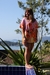Camisa Odoratus - comprar online