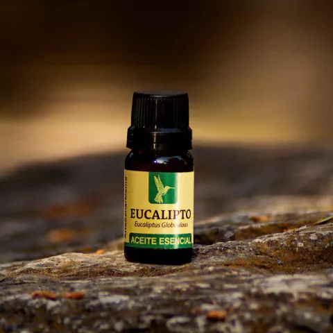 Aceite Eucalipto 10cc. - 100% Puro