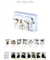 [RARO] 2021 Winter Package - BTS