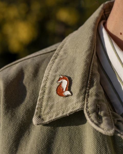 PIN - Zorrito