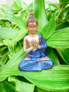 Buda Hindu M na internet