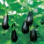 Berenjena Negra - comprar online