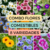 Combo de FLORES COMESTIBLES