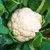 Coliflor - comprar online
