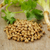 Cilantro (Coriandro) - comprar online