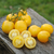 Tomate De Barao Golden - tienda online