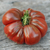 Tomate Negro Ruso - comprar online
