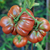 Tomate Negro Ruso - tienda online