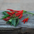 Chile de Árbol en internet
