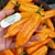Ají Peruano Amarillo en internet