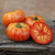 Tomate Beauty King en internet