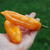 Ají Peruano Amarillo