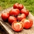 Tomate Purple Heart - comprar online