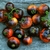 Tomate La Cadero