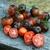 Tomate La Cadero - comprar online