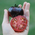 Tomate La Cadero en internet