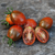Cherry Trufa de Chocolate - comprar online