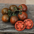 Tomate Kumato Mediano