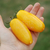 Tomate Banana Legs - tienda online