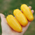 Imagen de Tomate Banana Legs