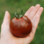 Tomate Kumato Mediano - tienda online