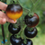 Tomate Belle Coeur