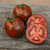 Tomate Kumato Mediano - LA HUERTA ORGÁNICA SEMILLAS