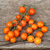 Cherry Cereza Naranja - LA HUERTA ORGÁNICA SEMILLAS