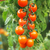 Cherry Cereza Naranja