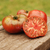 Tomate Cherokee Purple - comprar online
