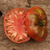 Tomate Cherokee Purple - tienda online