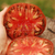 Tomate Cherokee Purple
