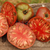 Tomate Cherokee Purple