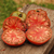 Tomate Cherokee Purple - LA HUERTA ORGÁNICA SEMILLAS