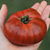 Tomate Tasmanian Chocolate