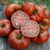 Tomate Tasmanian Chocolate - comprar online