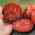 Imagen de Tomate Tasmanian Chocolate