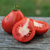 Tomate Ivan Kupala
