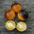 Tomate Belle Coeur