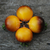 Tomate Belle Coeur - comprar online