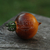 Tomate Belle Coeur en internet
