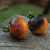 Tomate Belle Coeur - tienda online