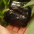 Morrón Negro Hungaro Dulce en internet